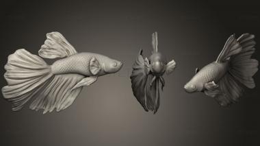 3D модель Бета-Рыба (STL)